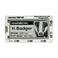 Badger 2040 EInk display y{́z