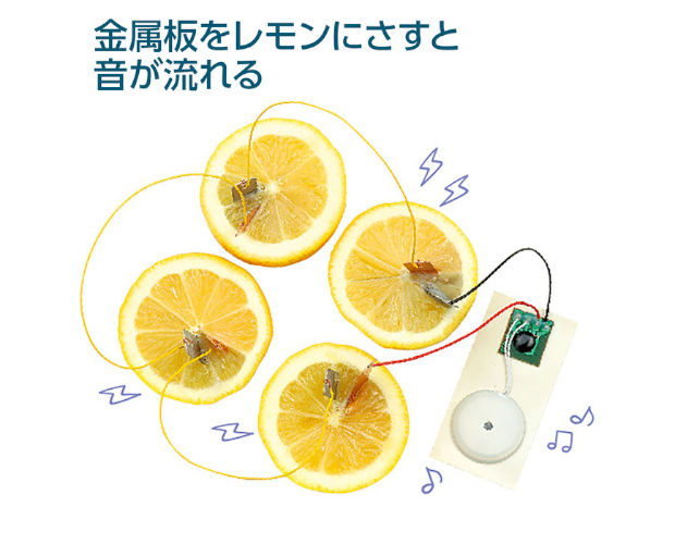 簡単!レモン電池キット