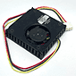 {v퐻쏊 44×44×10mm DC12Vt@t q[gVN i