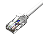 CAT6Ή LANP[u 5m 