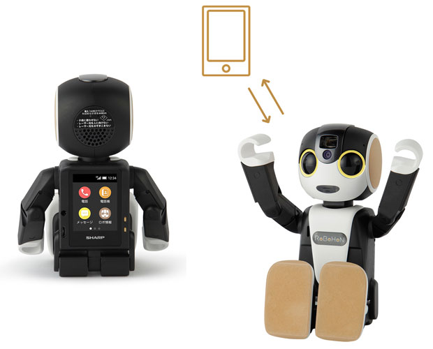 RoBoHoN ロボホン本体 ◇取寄品◇ / SR-01MW