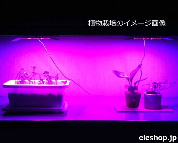 φ8mm 植物栽培用LED 青色